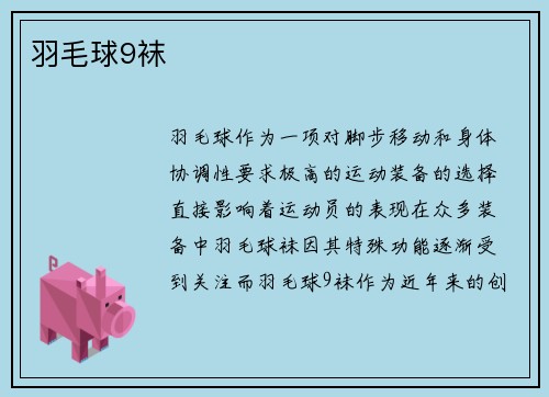 羽毛球9袜